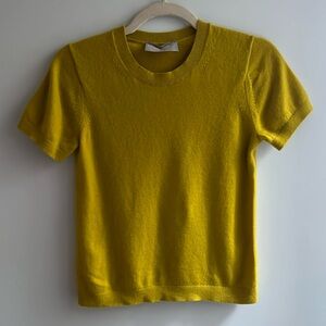 Everlane cashmere sweater tee